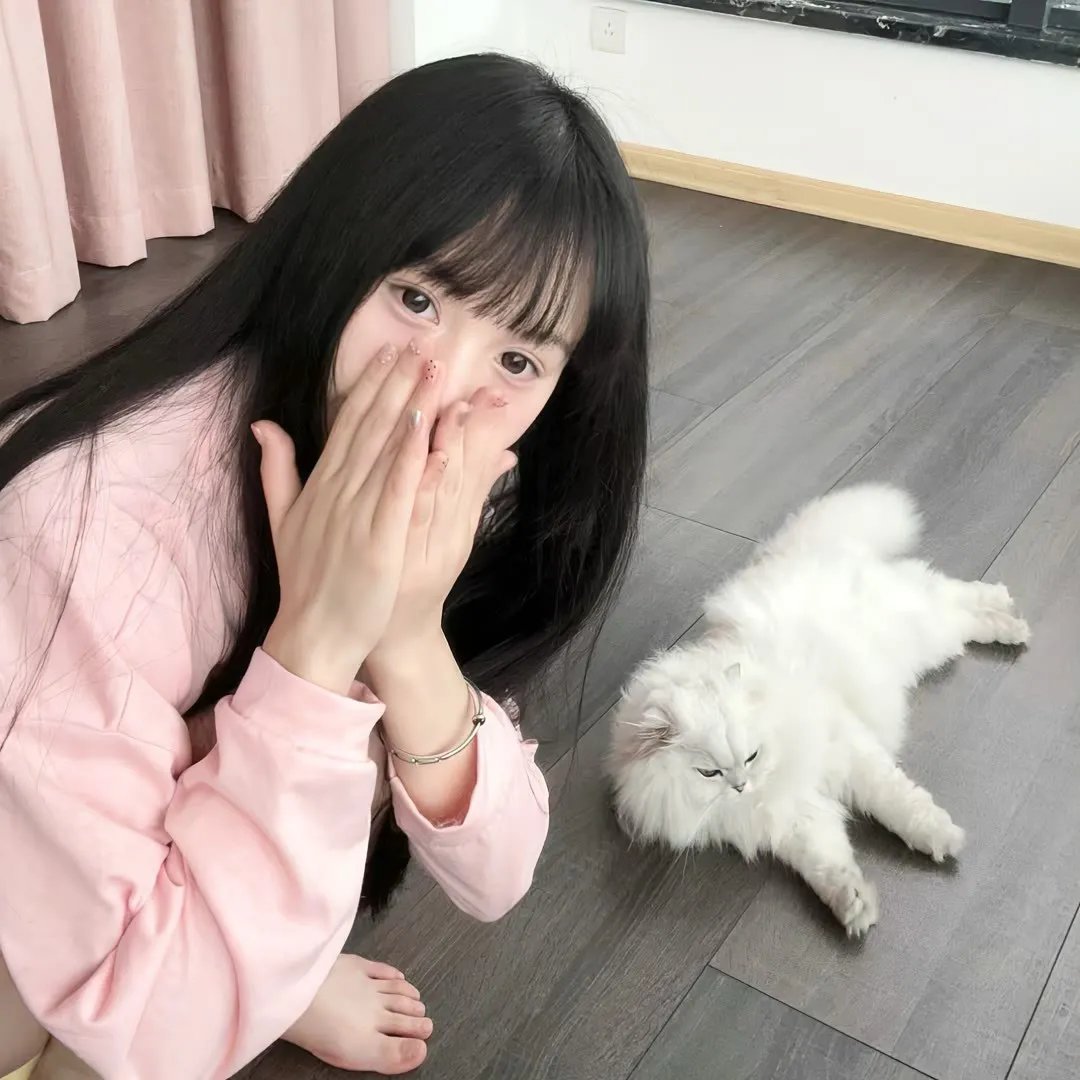 历险小恐龙