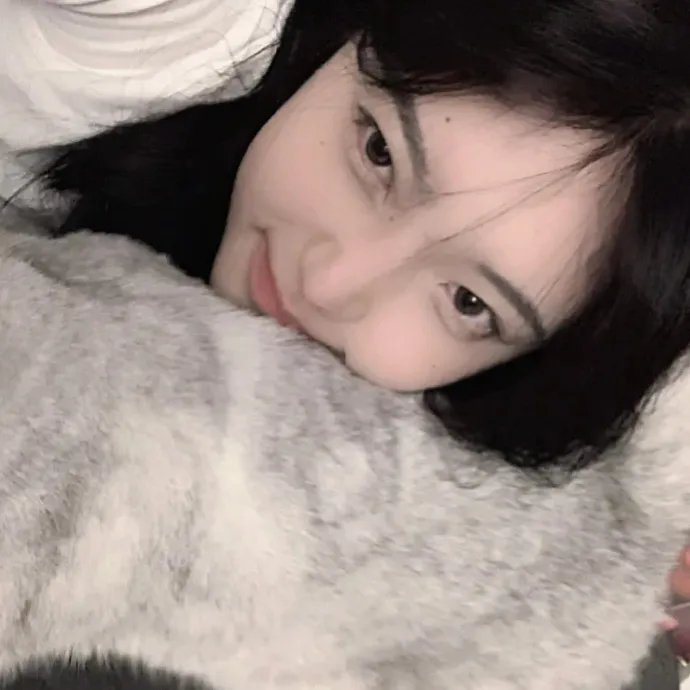 法兰西特派周报